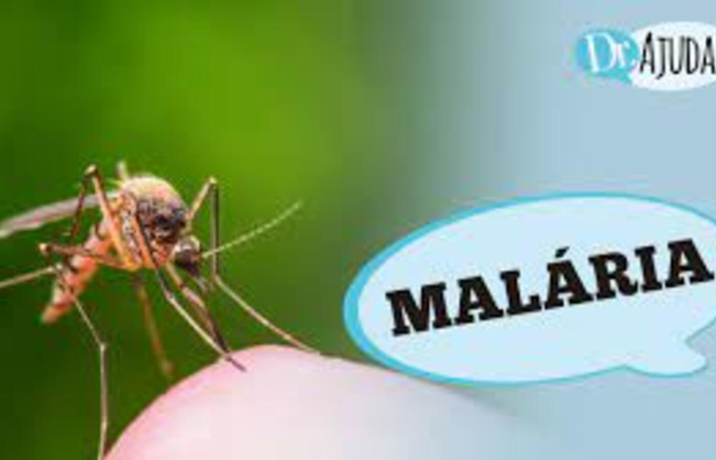 malaria:-o-que-e,-sintomas-e-como-evitar