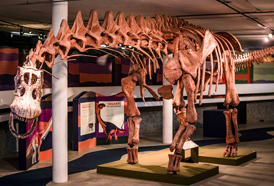 expodinos:-o-maior-dinossauro-do-mundo-chega-ao-rio-de-janeiro!