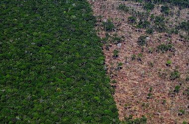 fundo-amazonia:-o-que-falta-para-o-desmatamento-comecar-a-cair-no-brasil?