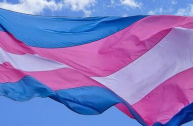 Bandeira Trans Foto: Reprodução