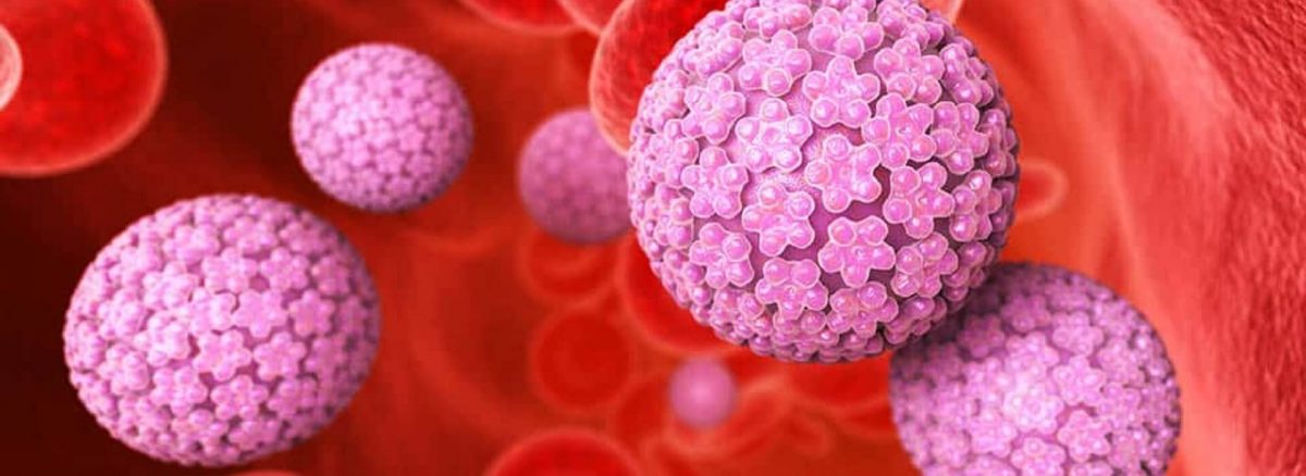 HPV aumenta as chances da doença de Câncer Anal