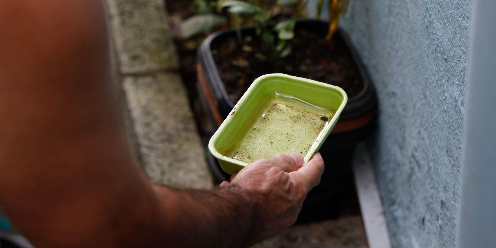 casos-de-dengue-na-cidade-de-sao-paulo-chegam-a-7.230