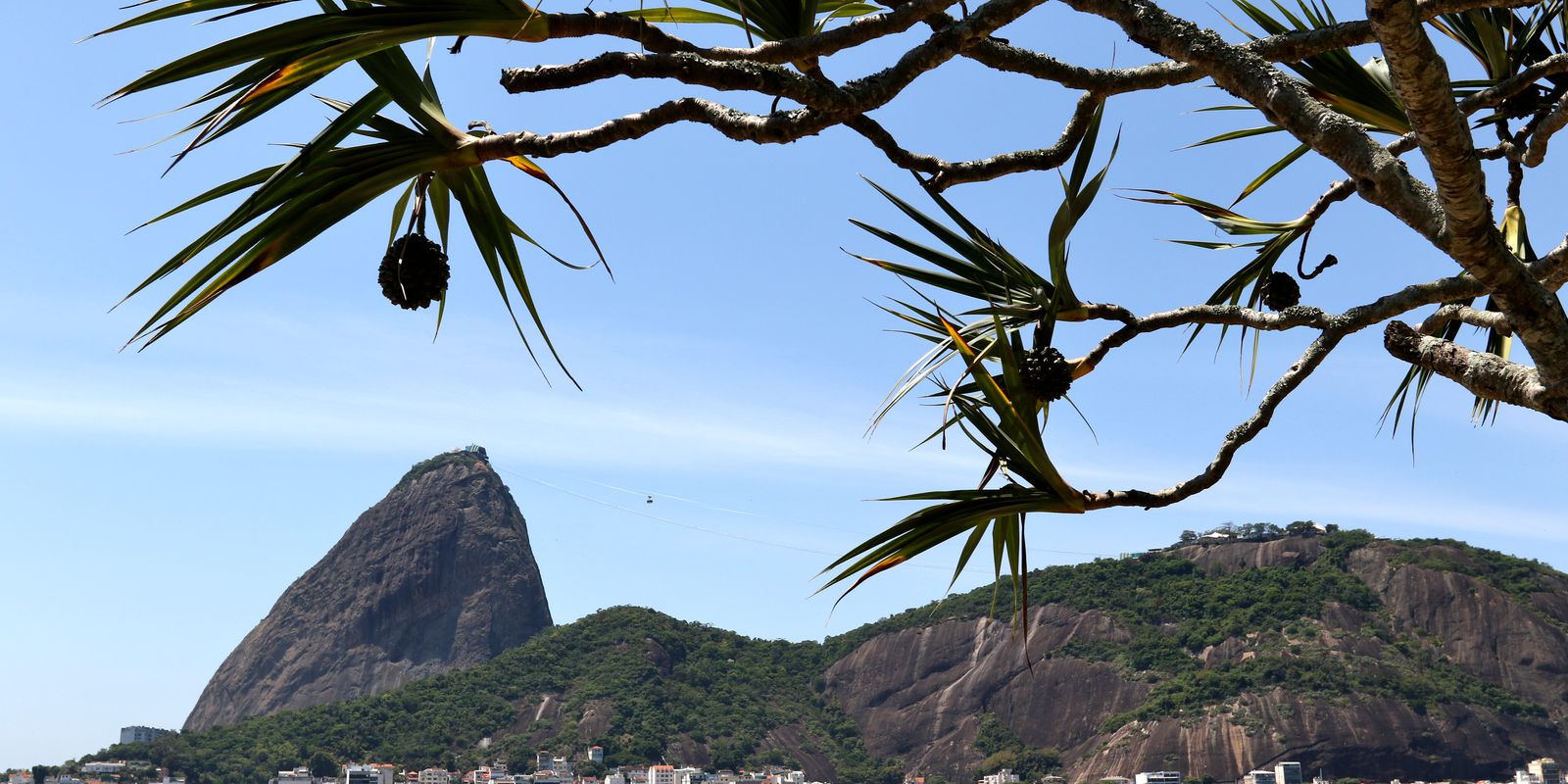 rio-de-janeiro:-justica-paralisa-obras-da-tirolesa-do-pao-de-acucar