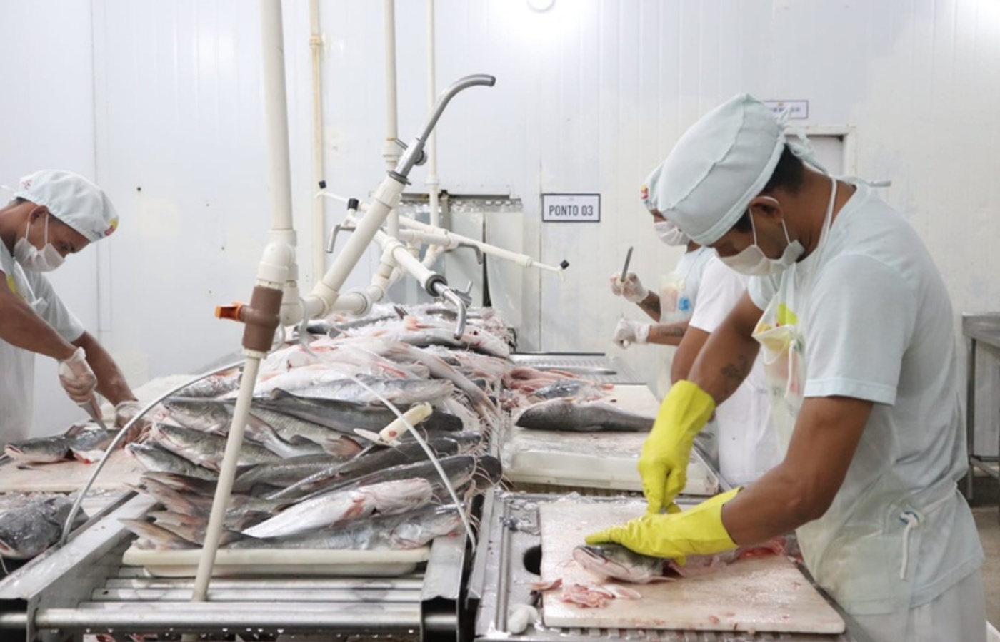 estado-do-amapa-vai-contar-com-polos-das-rotas-do-acai-e-do-pescado