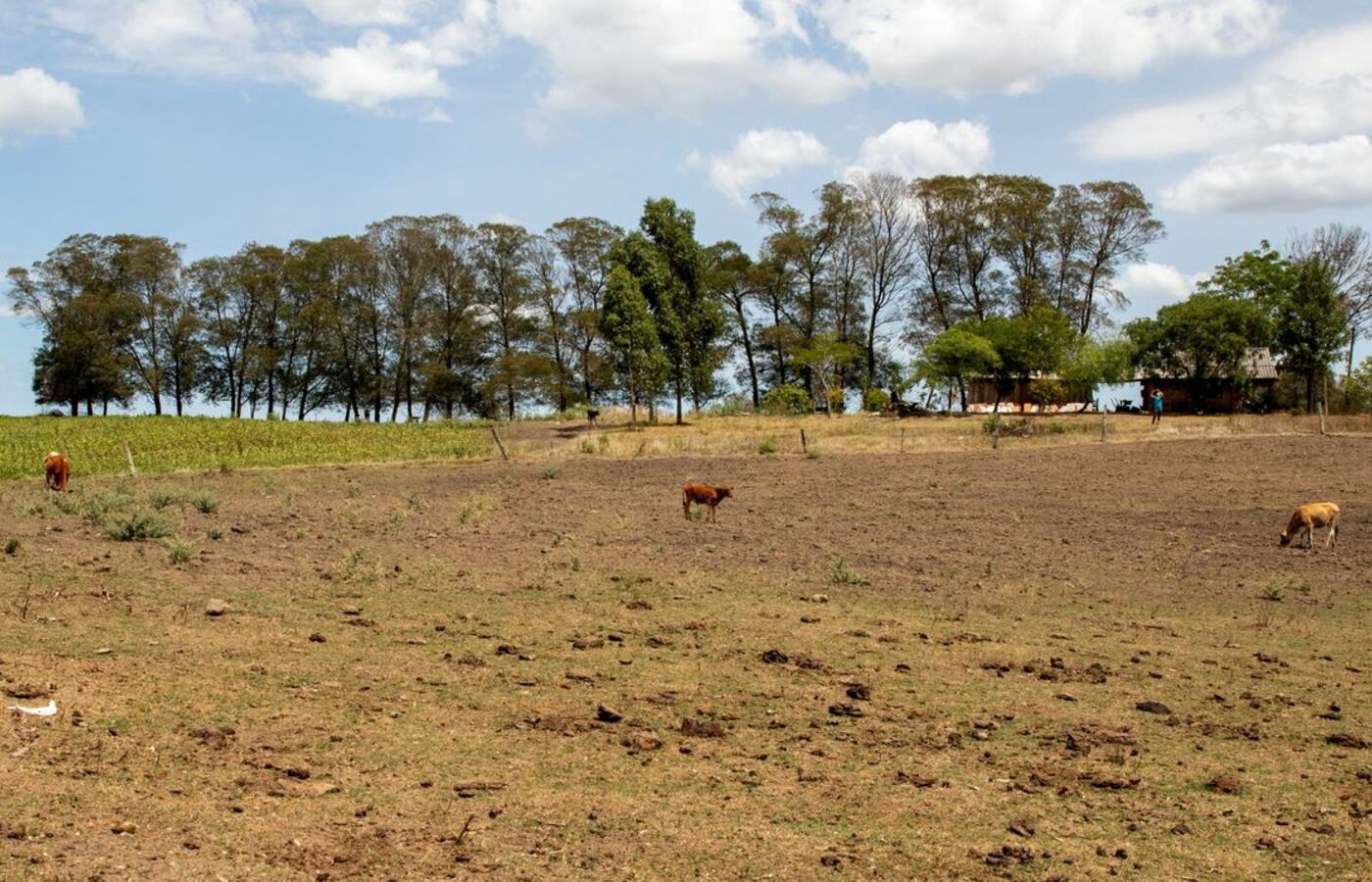 el-nino-e-anunciado-no-brasil-e-pode-durar-ate-2-anos