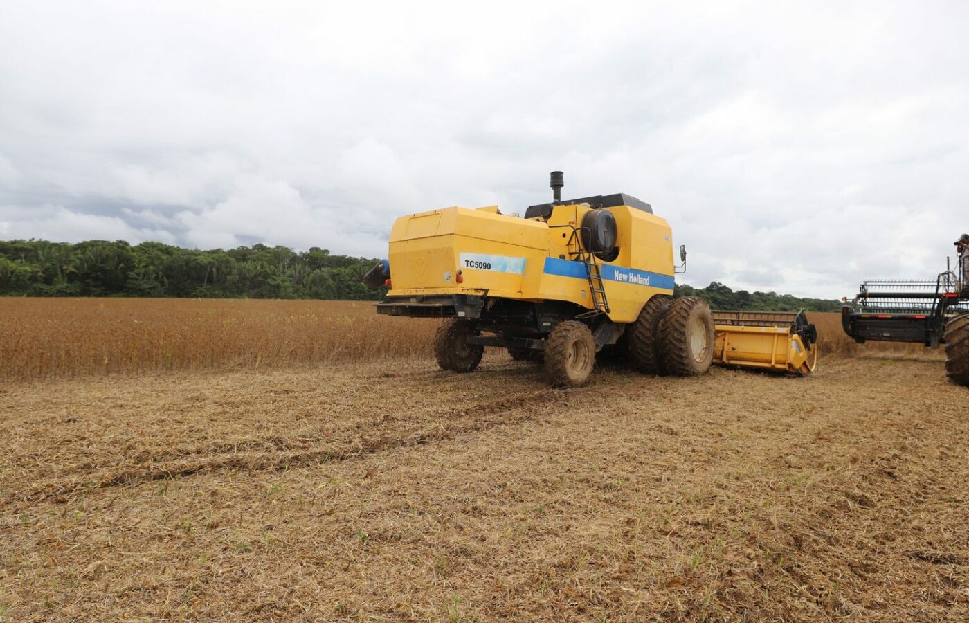 amazonas:-esta-em-vigor-periodo-de-vazio-sanitario-da-soja