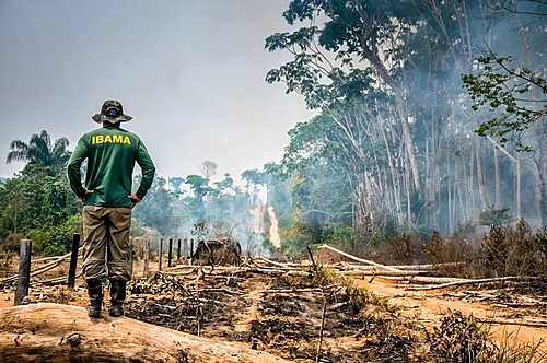 desmatamento-na-amazonia-cai-pela-metade-em-2023-e-volta-a-patamares-pre-bolsonaro