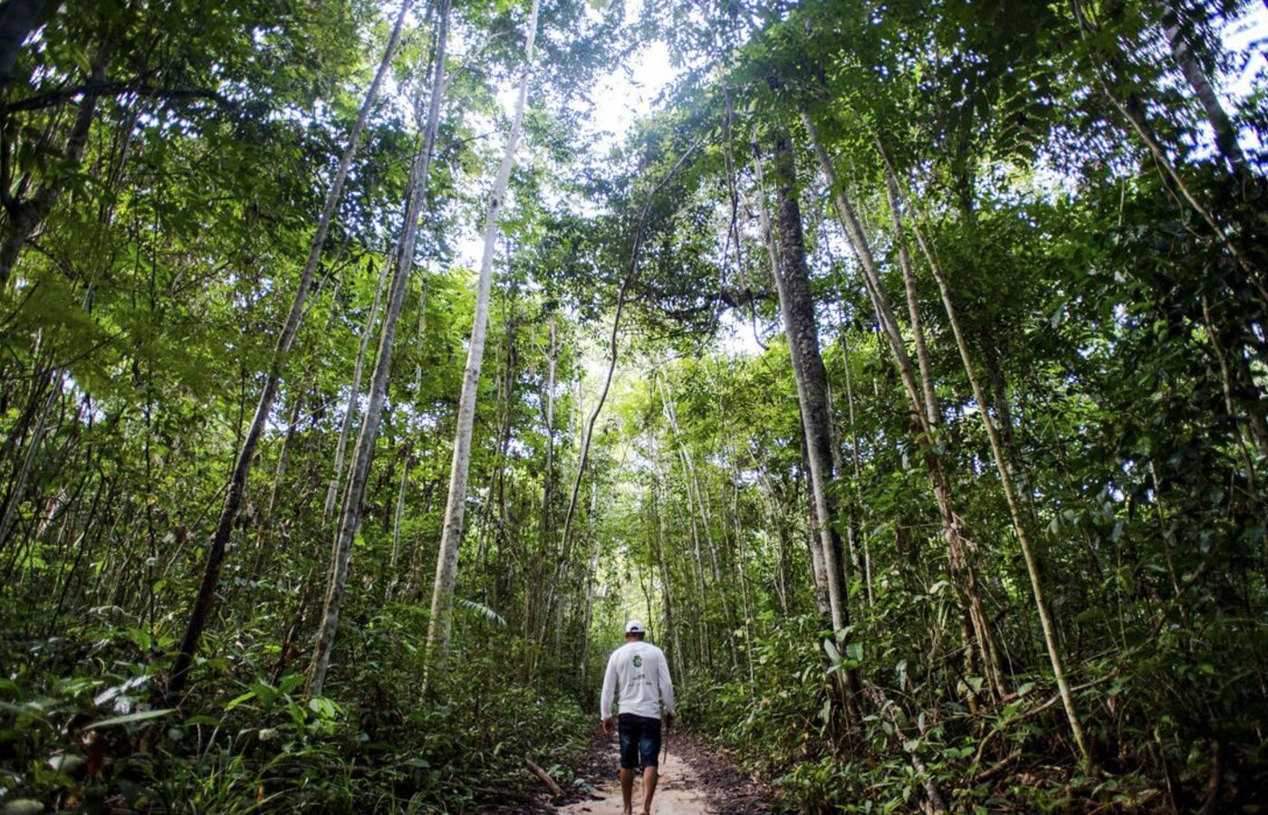 senai-e-suzano-investirao-r$16-milhoes-em-projetos-de-bioeconomia