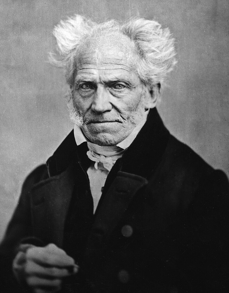 Arthur Schopenhauer
Domínio Público