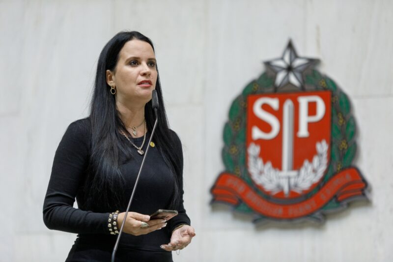 Deputada Leticia Aguiar divulgação