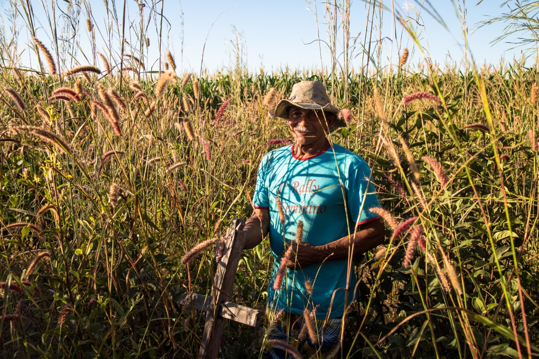 Modos de vida em harmonia com a natureza contribuem para a proteção dos biomas, garantindo a todos água, ar e alimento de qualidade (Foto: Acervo ISPN/Thomas Bauer)