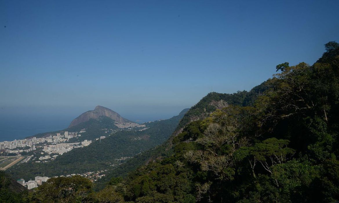 Parque Nacional da Tijuca, no Rio de Janeiro, completa 62 anos - Foto: Fernando Frazão | AGÊNCIA Brasil