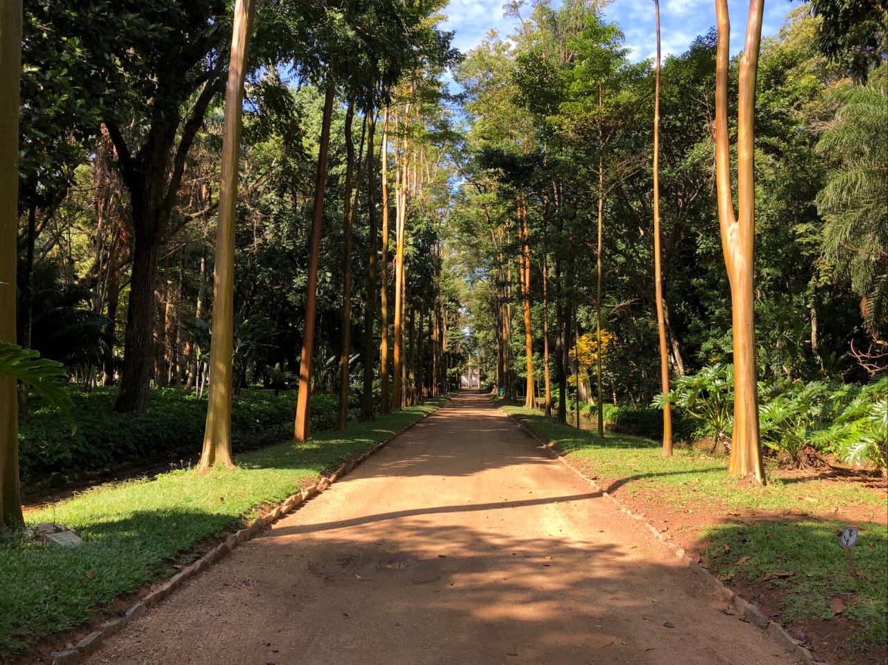 Jardim Botânico do Rio