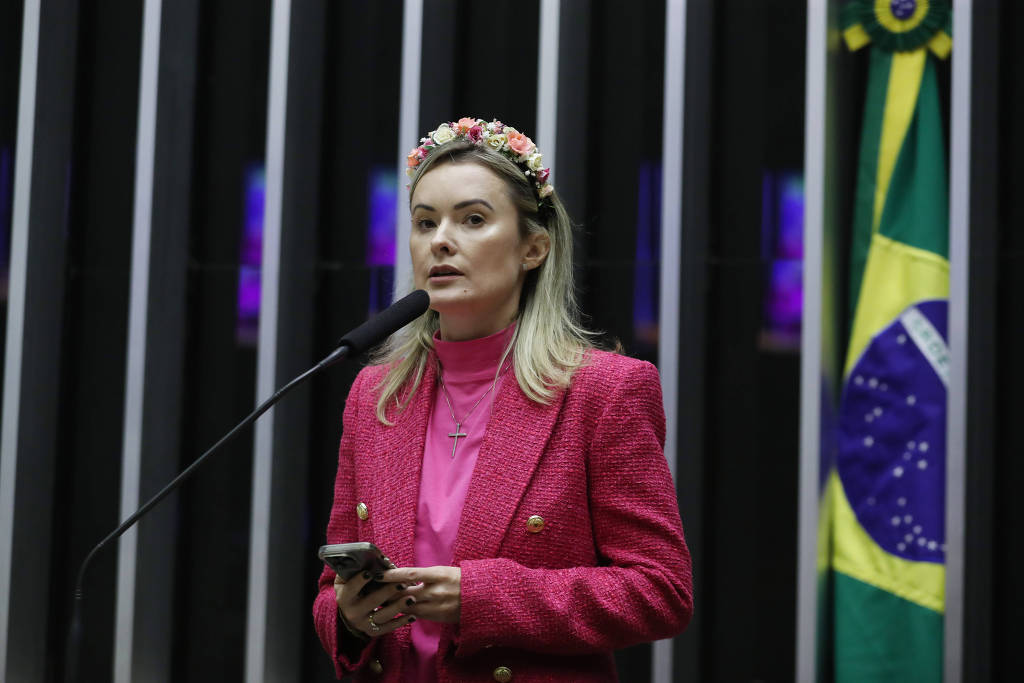 Deputada federal Júlia Zanatta (PL-SC) durante discurso no plenário da Câmara dos Deputados. Foto: Reprodução