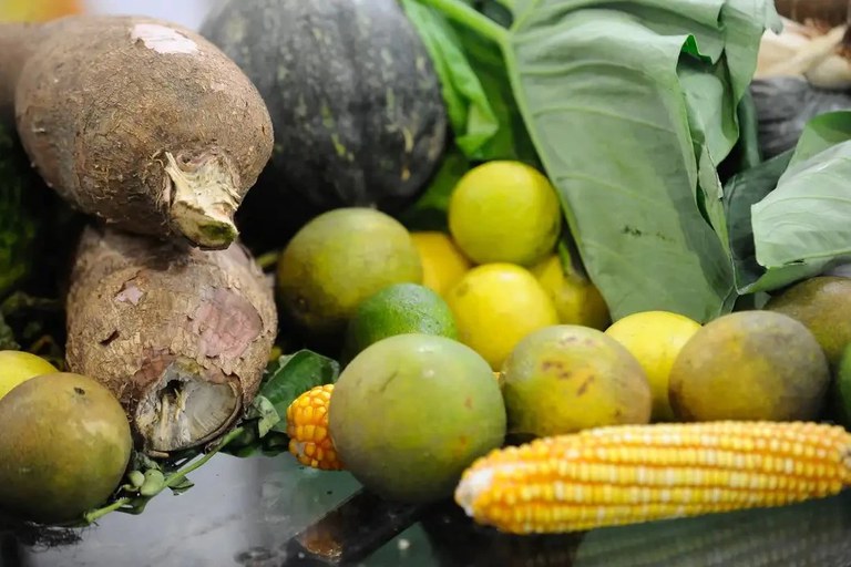 Vetos têm o propósito de garantir a adequada integração entre as necessidades produtivas, a tutela da saúde e o equilíbrio ambiental - Foto: Fernando Frazão / Agência Brasil