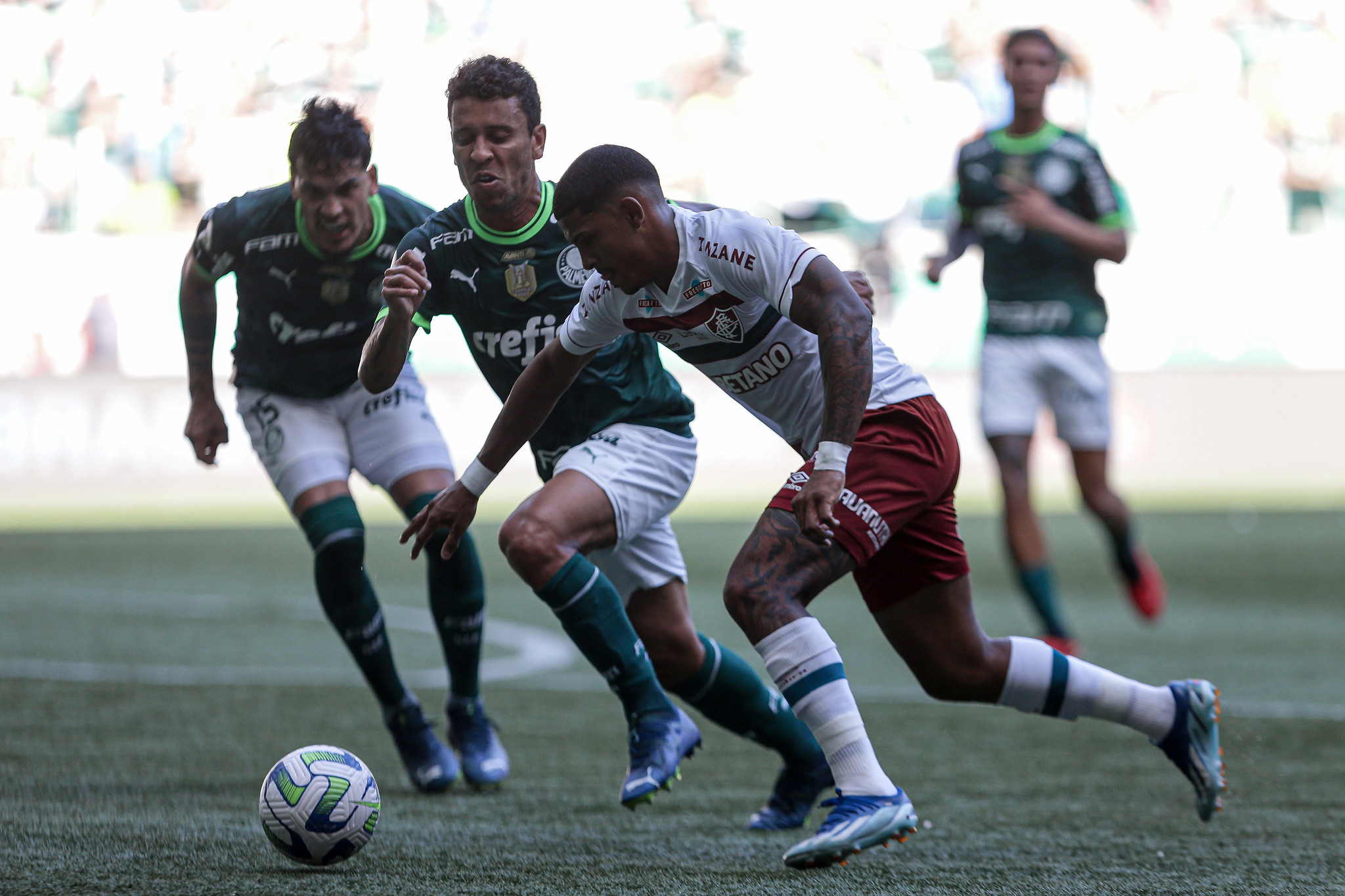 Fluminense é superado pelo Palmeiras fora de casa no Brasileirão