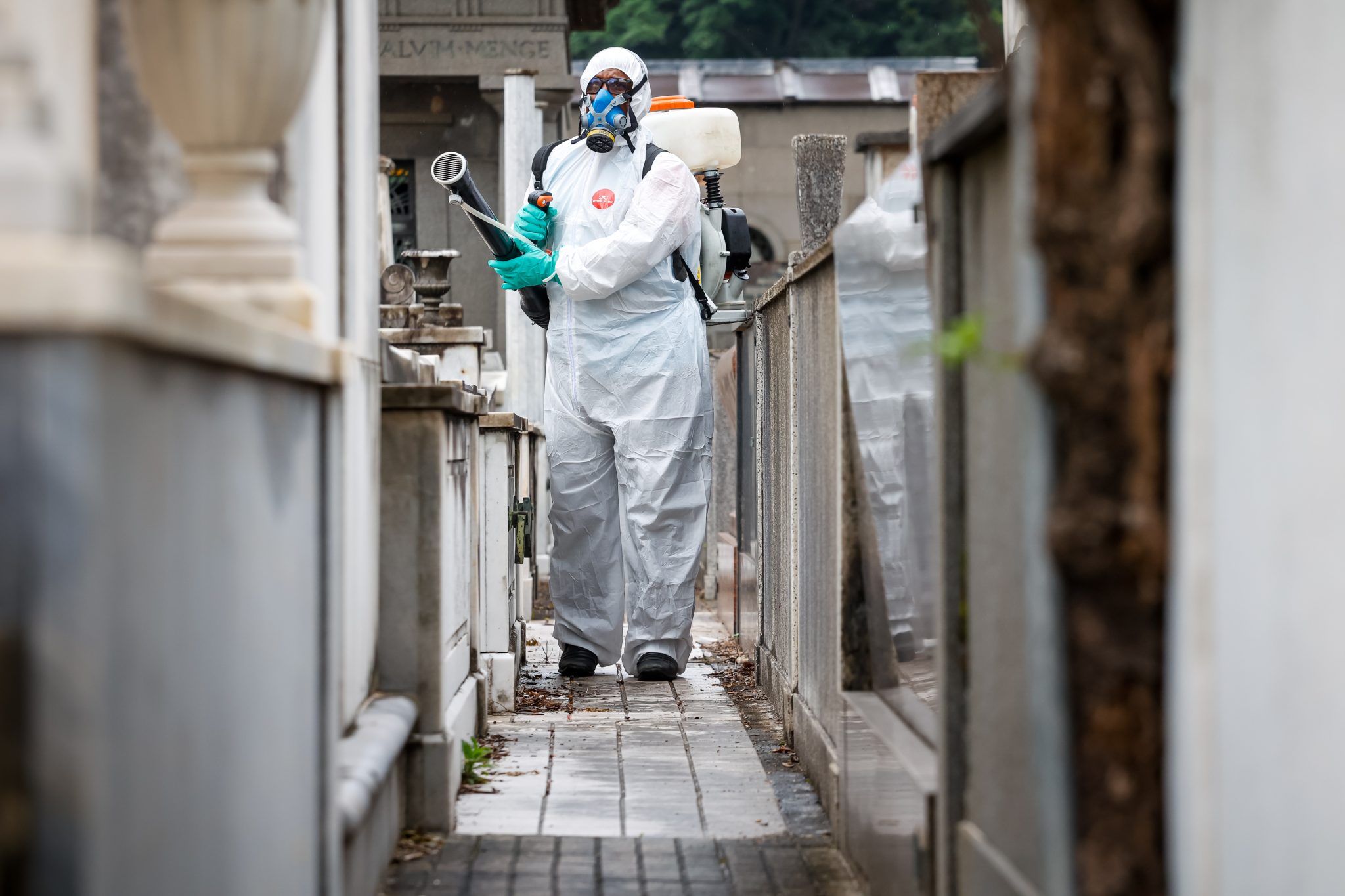 Agente faz vistoria contra a dengue em cemitério do Rio - Edu Kapps / SMS