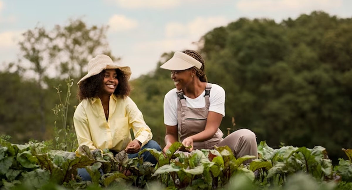 Conab, MDA e Incra debatem novos desafios para fortalecer agricultura familiar