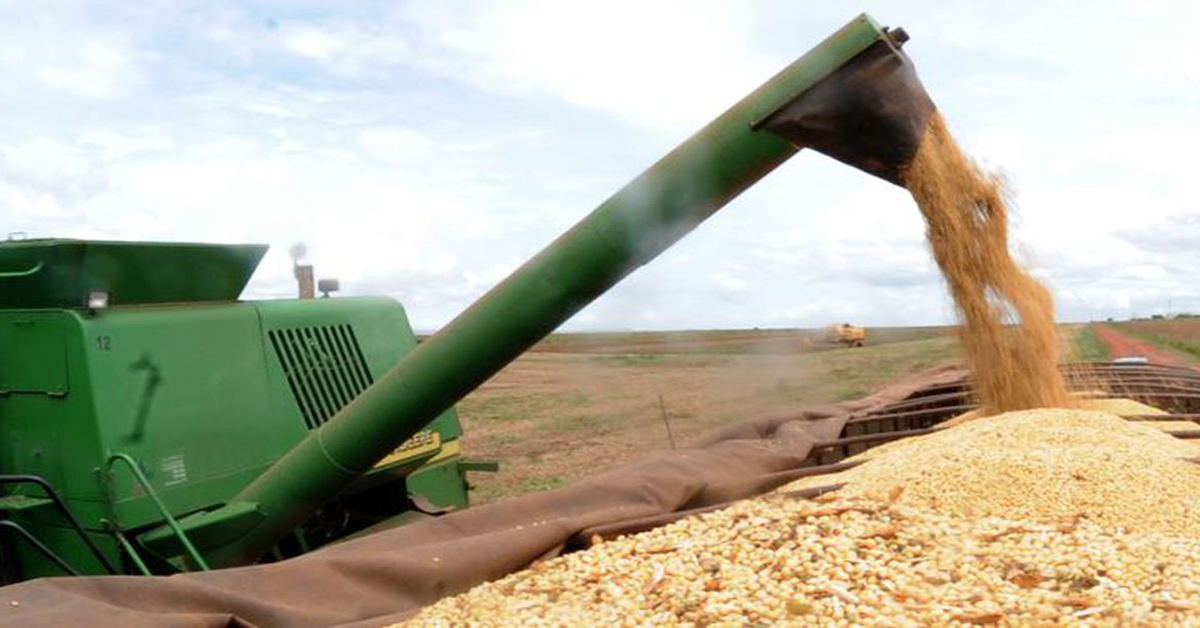 Preço da soja subiu nesta quarta-feira (6) no Paraná