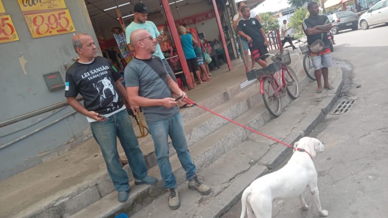 Criança de nove anos é atacada por pitbull em Bangu, na Zona Oeste (Foto: Divulgação)