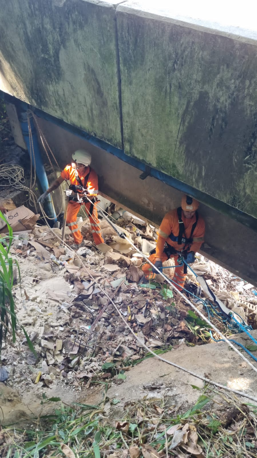 Encostas do Joá recebem operação de limpeza com garis alpinistas