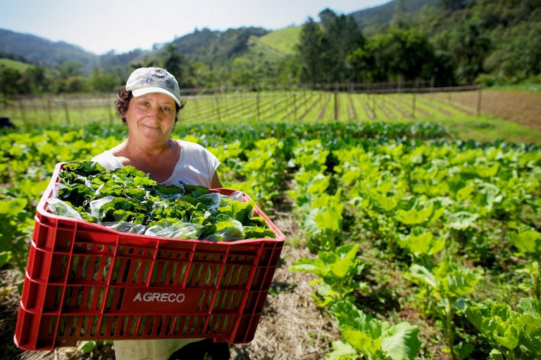 Mulheres no Brasil, culturalmente, são responsáveis por guardar e repassar a filhos e filhas os saberes ancestrais sobre alimentação e bem-estar familiar - Foto: Arquivo / MDA