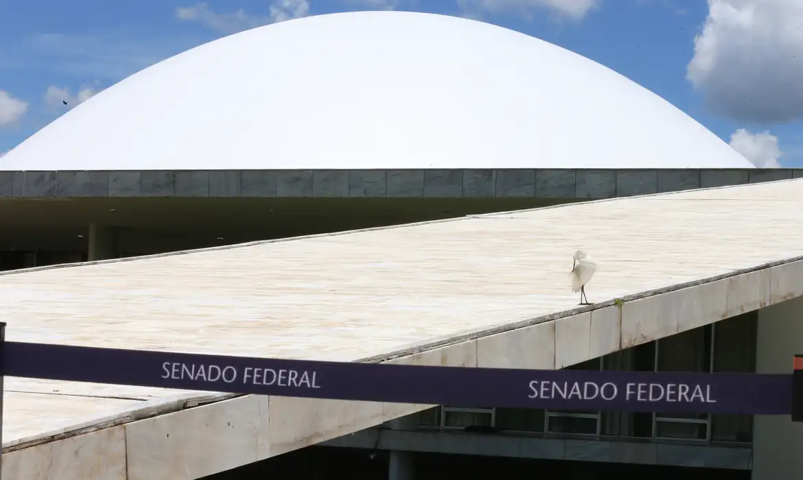 Senado Federal - Foto: Reprodução