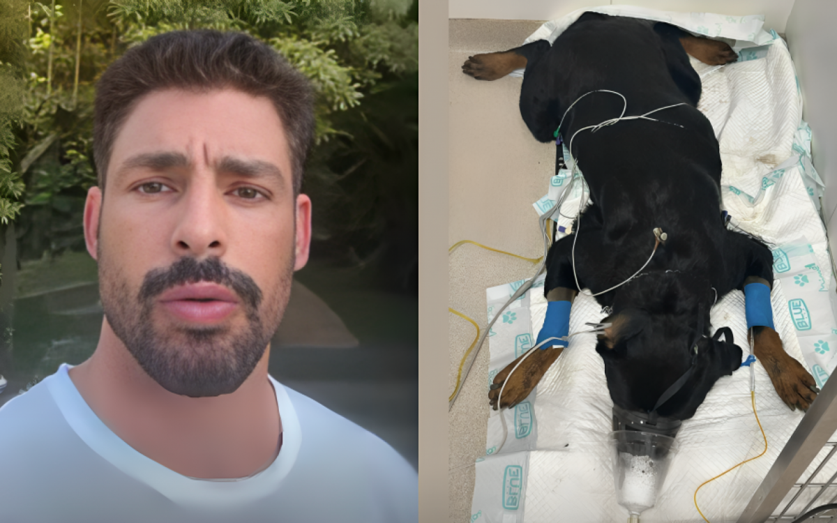 Cauã Reymond contou sobre morte de cachorro envenenado nas redes sociais. Foto: Reprodução