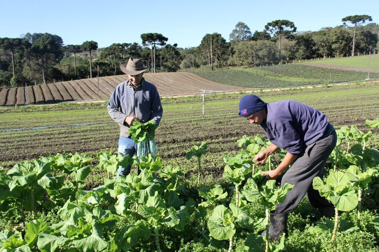 O Programa Nacional de Fortalecimento da Agricultura Familiar oferece crédito com juros menores e mais garantias de acesso - Foto: Divulgação/MDA