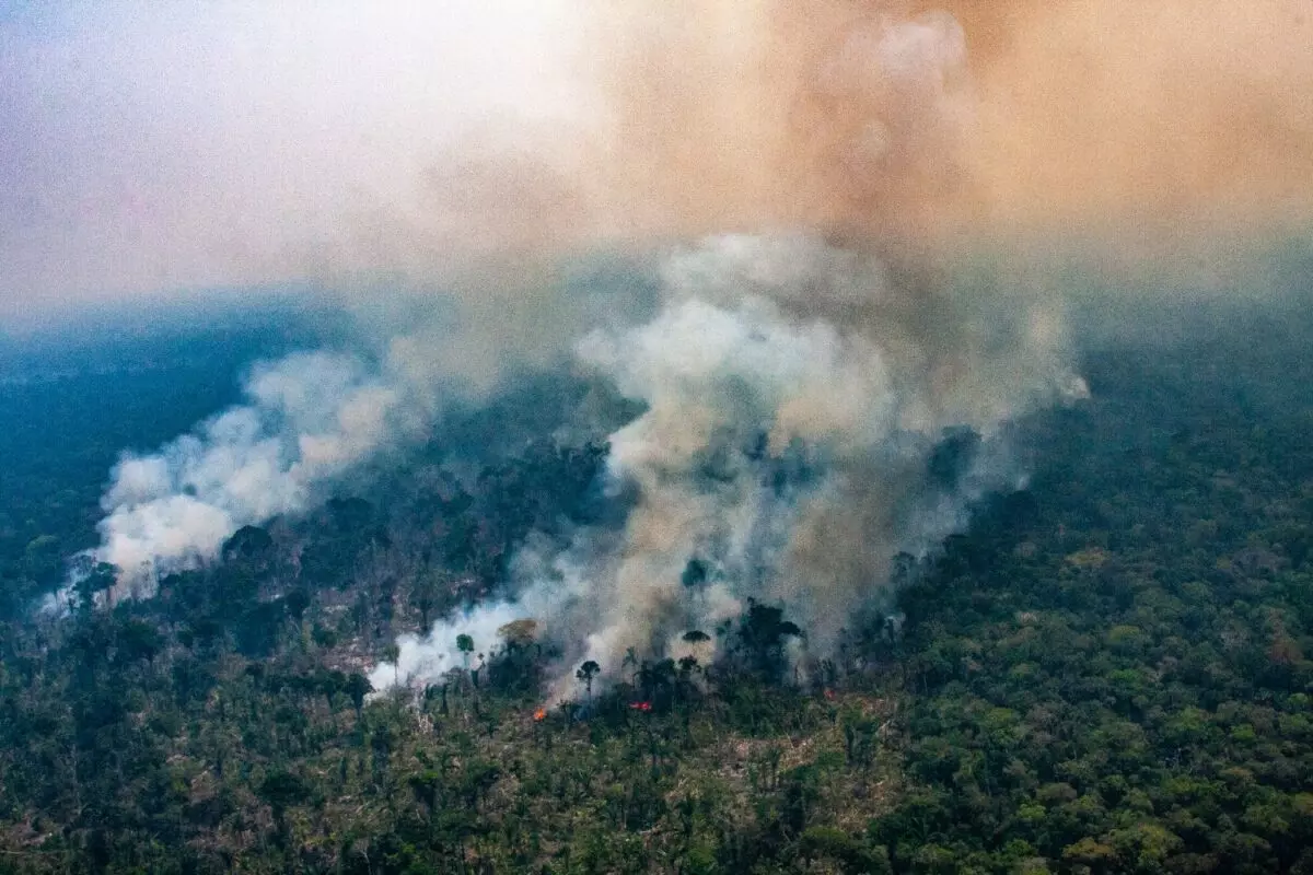 Incêndio de grandes proporções no sul do Amazonas registrado em área de floresta pública