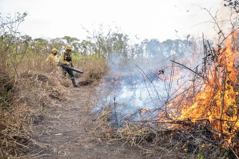 Governo Federal segue no trabalho de combate e de investigação das origens dos incêndios. Foto: Vitor Vasconcelos / Secom / PR