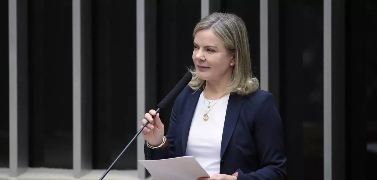 Gleisi Hoffmann (Foto: Zeca Ribeiro/Câmara dos Deputados)