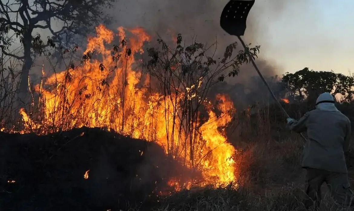 Queimadas florestais devastam áreas na Amazônia, gerando poluição e afetando comunidades - Foto: Valter Campanato/Agência Brasil