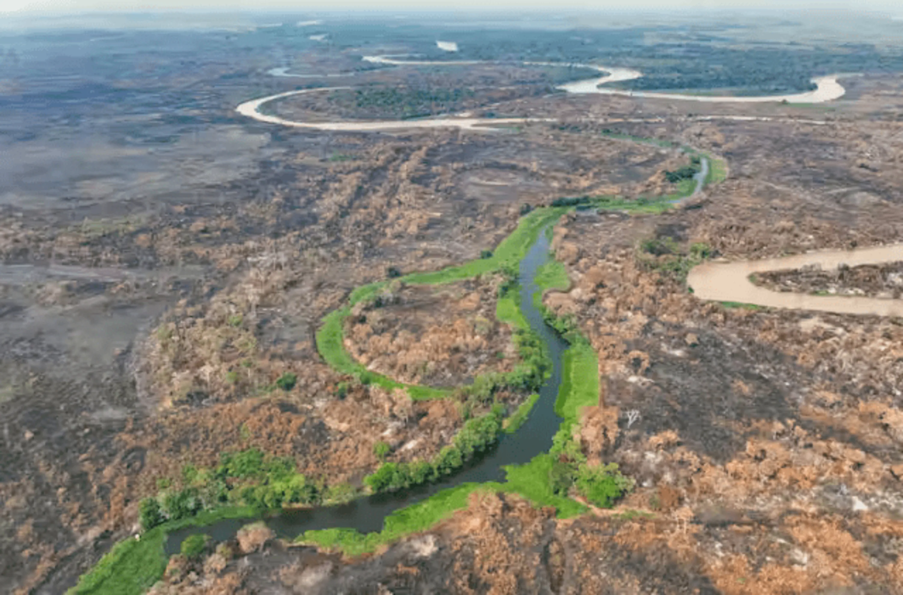 Região do Encontro das Águas, habitat das onças-pintadas no Pantanal matogrossense, com grande parte do seu bioma destruído pelas queimadas dos últimos meses: dados da rede colaborativa MapBiomas mostram que o Brasil já perdeu definitivamente 1/3 da sua cobertura vegetal nativa. (AP Photo/Andre Penner)