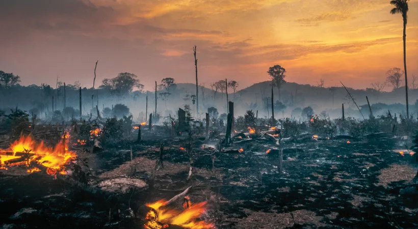 Amazônia em Chamas