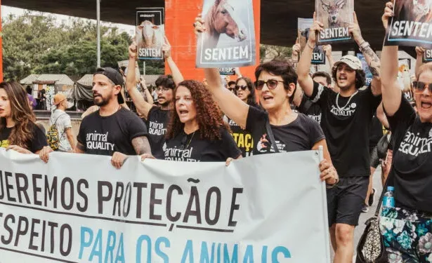 Foto: Animal Equality