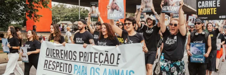 Foto: Animal Equality