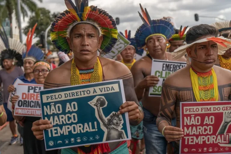 De acordo com a ONU, a dificuldade de acesso à terra está no centro da luta dos povos tradicionais - Tiago Miotto/Cimi