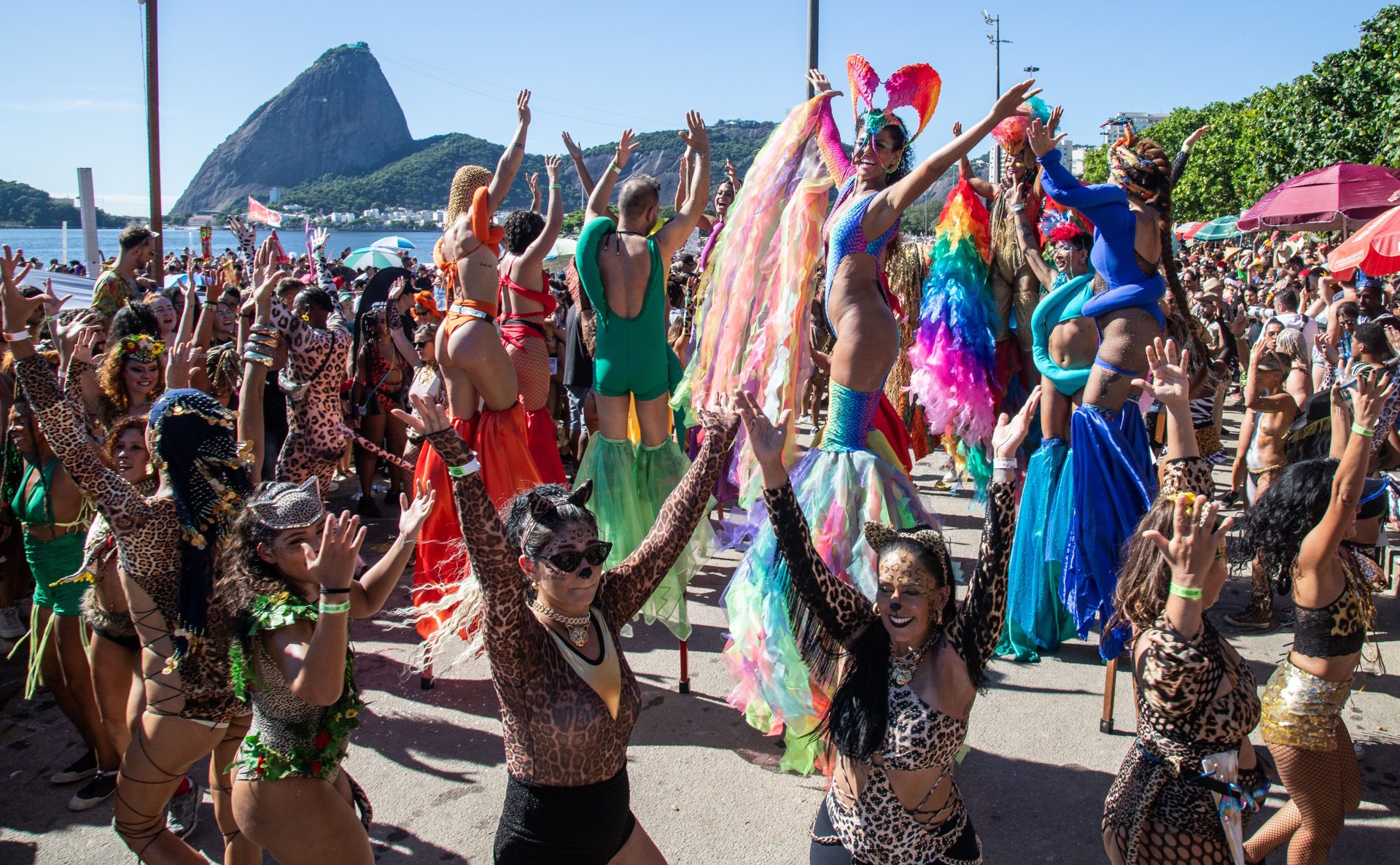 Amigos da Onça - Foto Fernando Maia Riotur