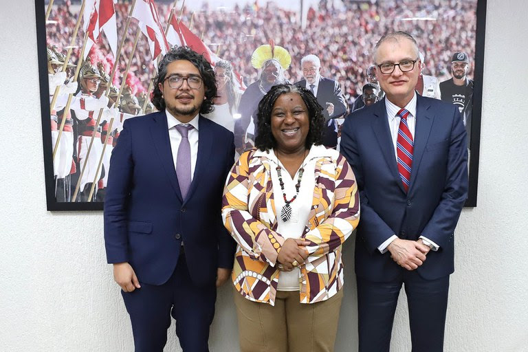 A ministra Macaé Evaristo (Direitos Humanos e Cidadania) durante reunião de trabalho com integrantes da comissão da OEA. Foto: MDHC