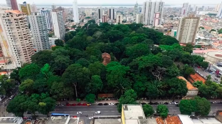 De Olho na COP 30: Ciência e Inovação terão papel central na conferência de Belém | Diário Carioca