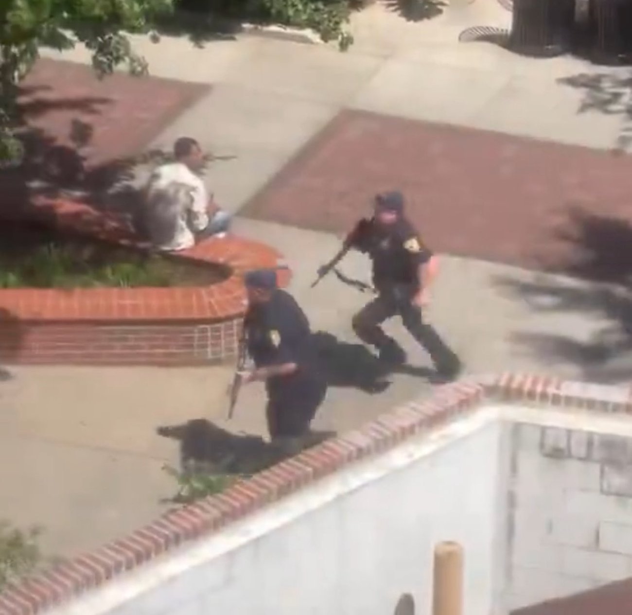 Tiroteio na Universidade da Flórida deixa dois mortos e seis feridos. FBI investiga. Atirador foi preso no campus em Tallahassee.