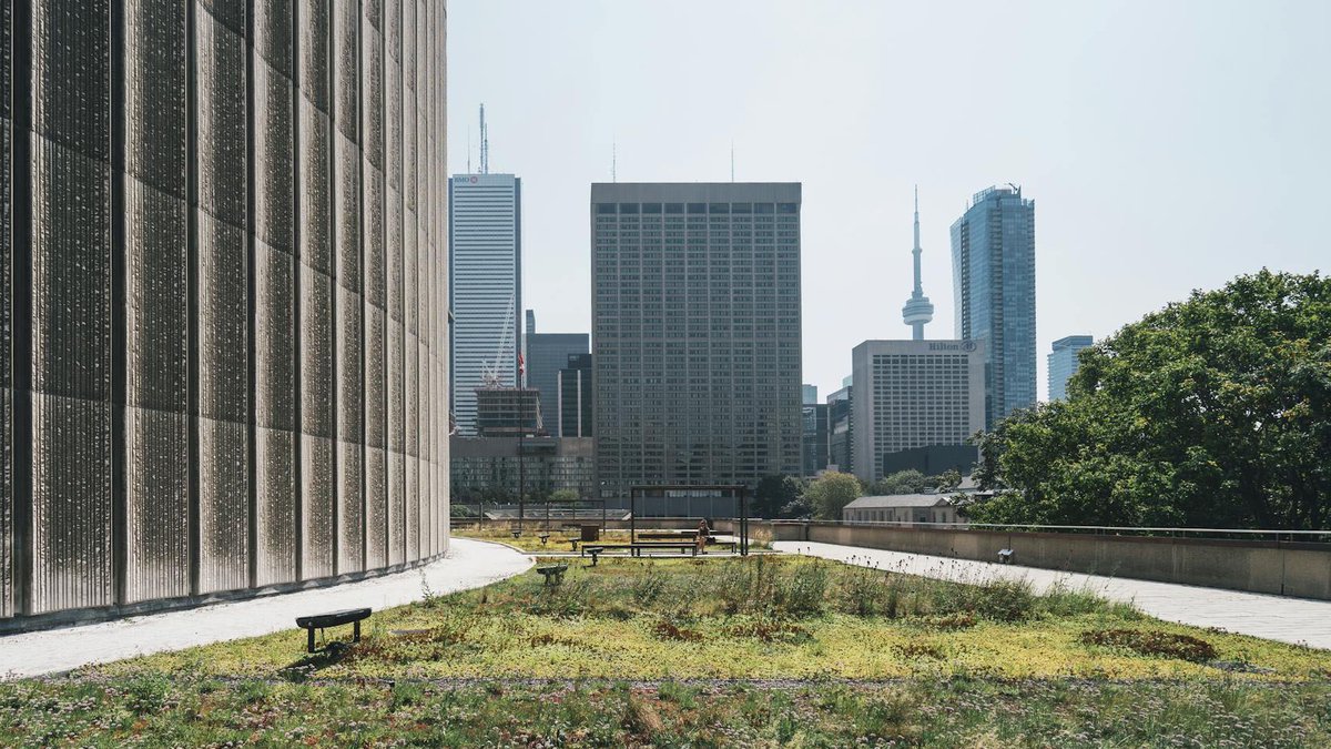 IBRI: programa TOP está com inscrições abertas até 30 de maio de 2025