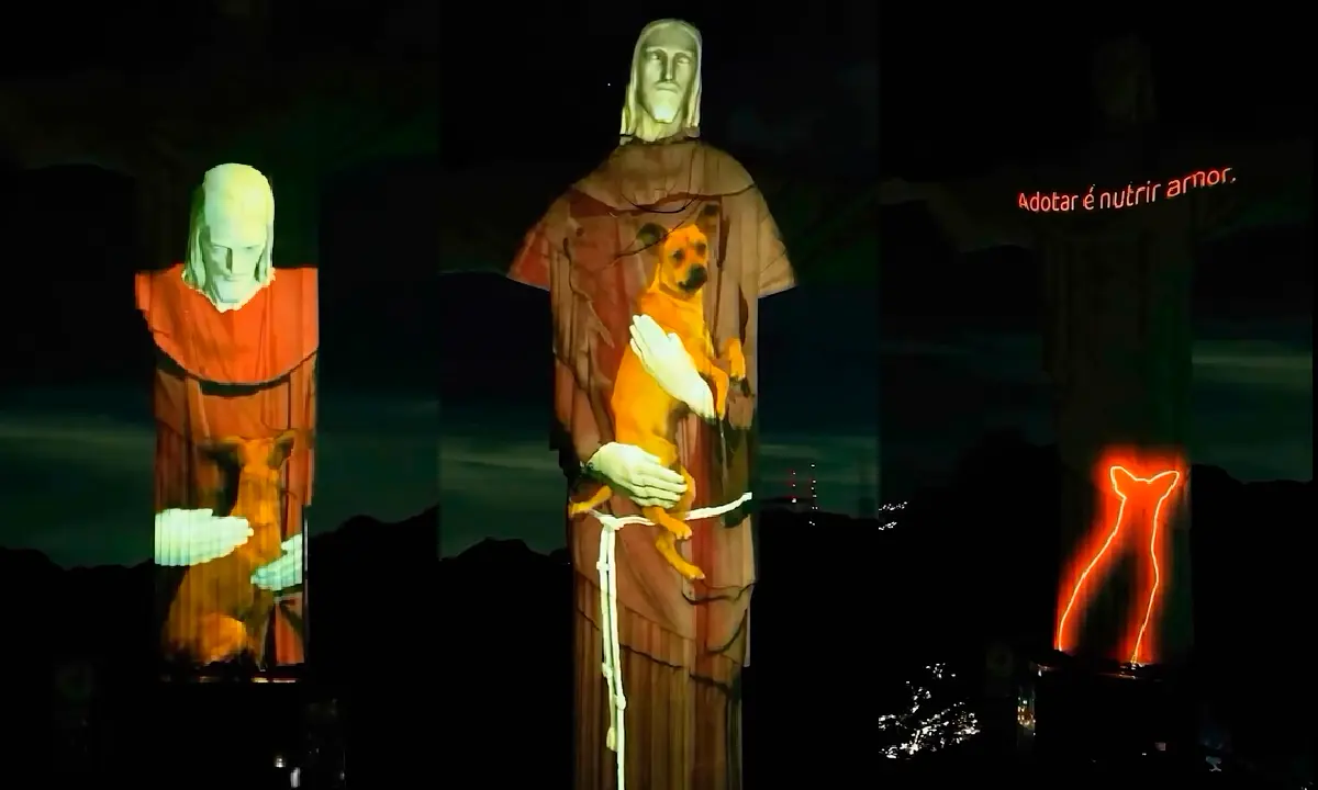 Cristo Redentor “adota” um vira-lata caramelo em projeção. Foto: reprodução