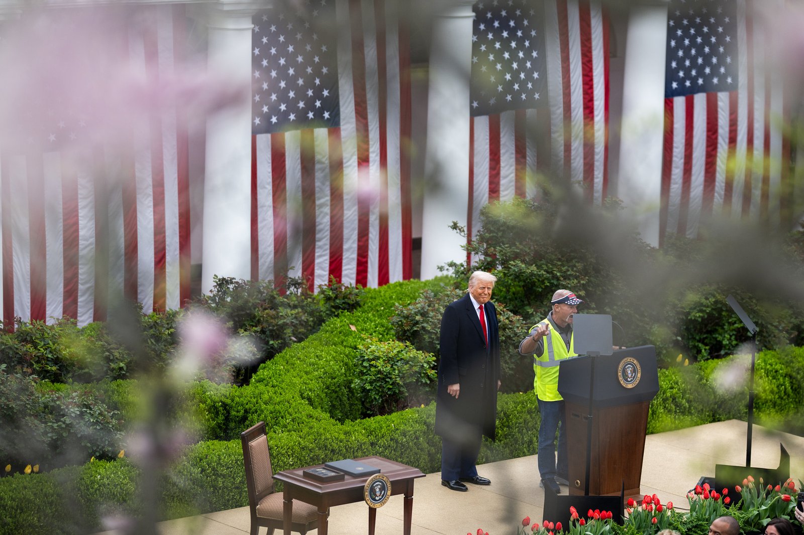 Donald Trump - Foto: Daniel Torok White House