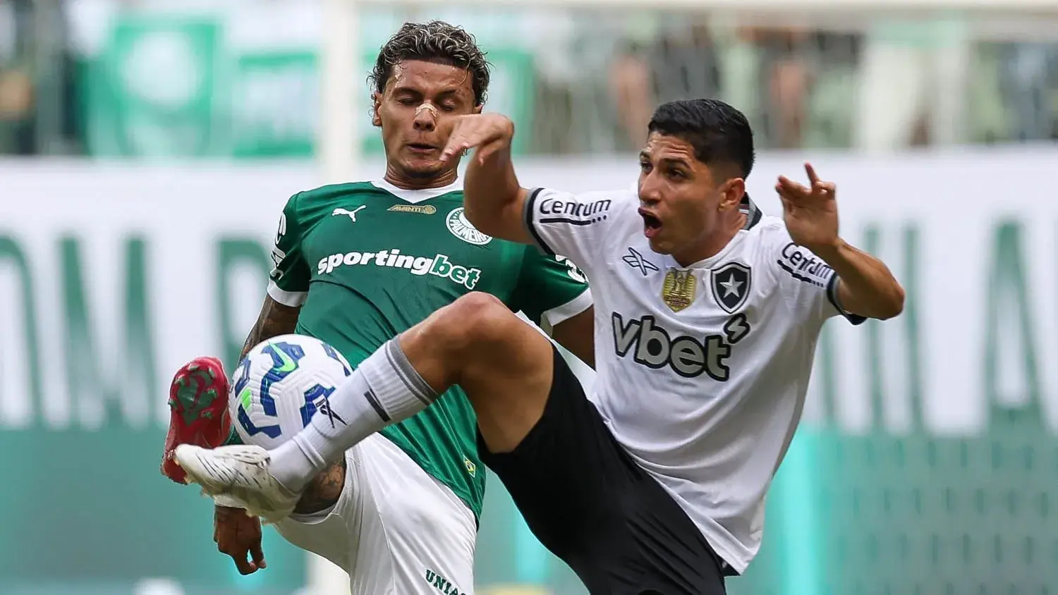 Palmeiras x Botafogo - Foto: Cesar Greco/Palmeiras