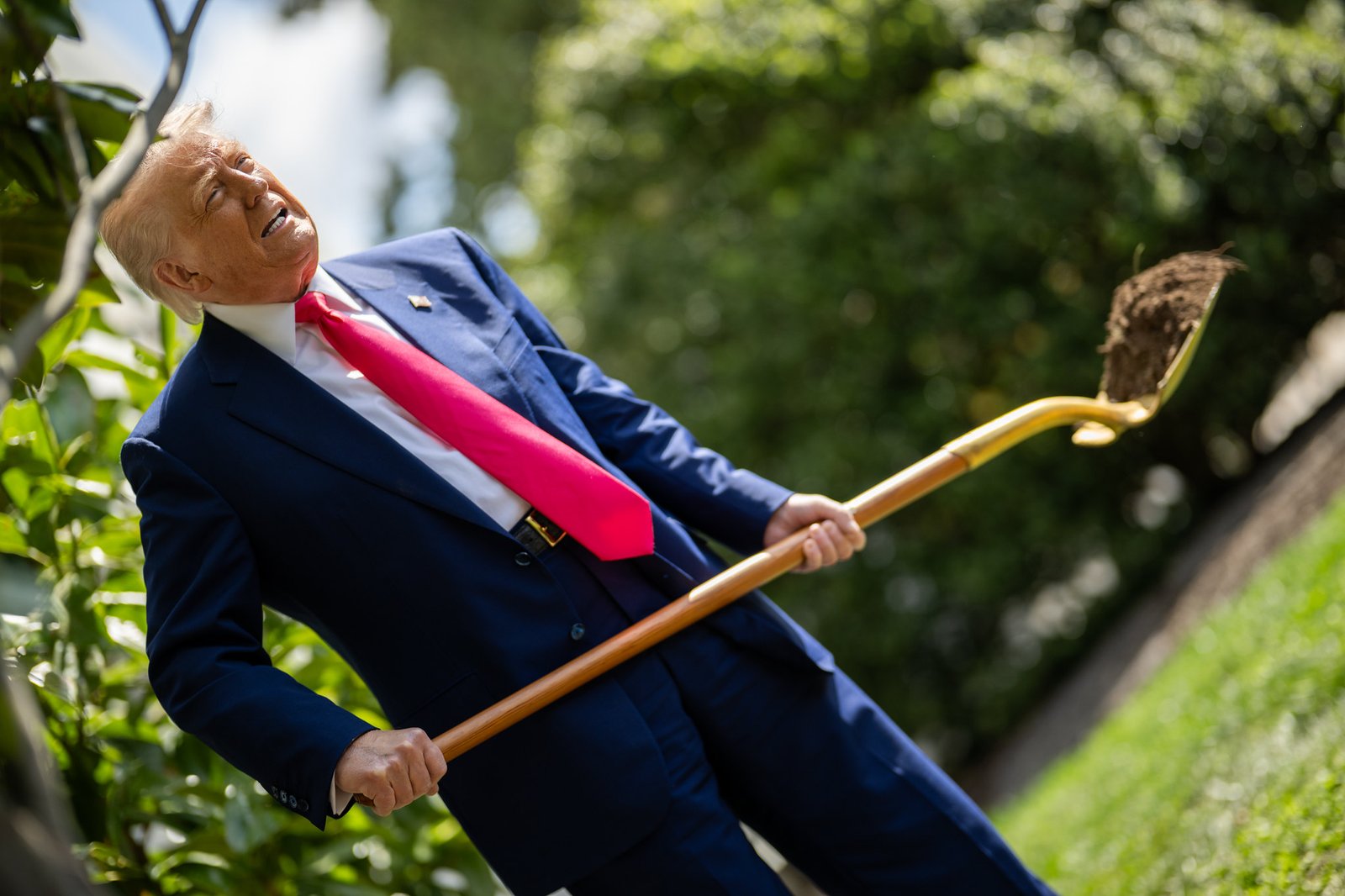 Donald Trump - Foto: Daniel Torok/ White House