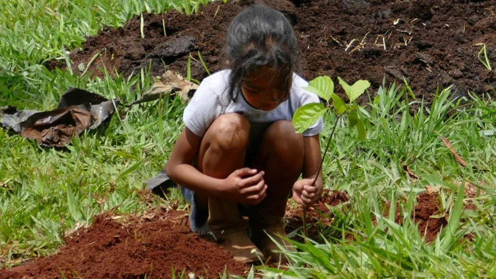 Atlas dos Conflitos no Campo Brasileiro aponta futuro ‘sombrio’ para o Cerrado