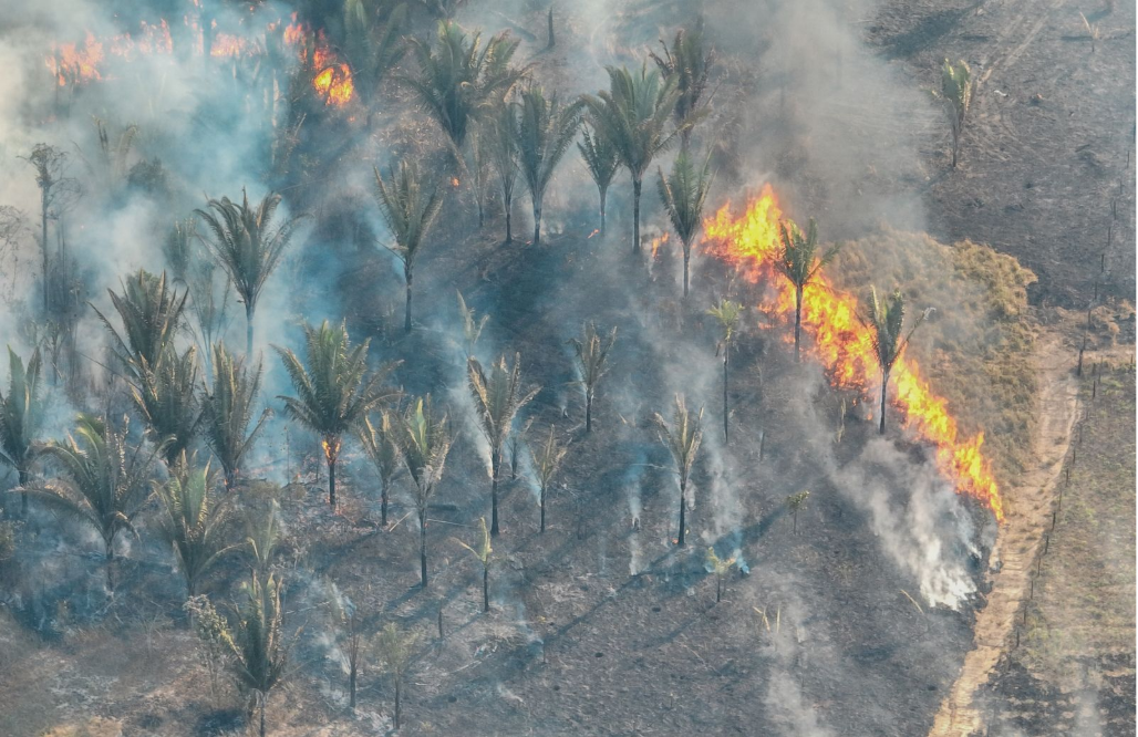 Clima seco e os ventos ajudam na propagação das chamas. (Foto: Secom PVH)