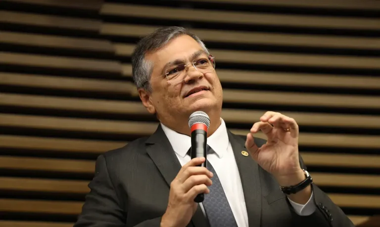 Flávio Dino - © Rovena Rosa/Agência Brasil